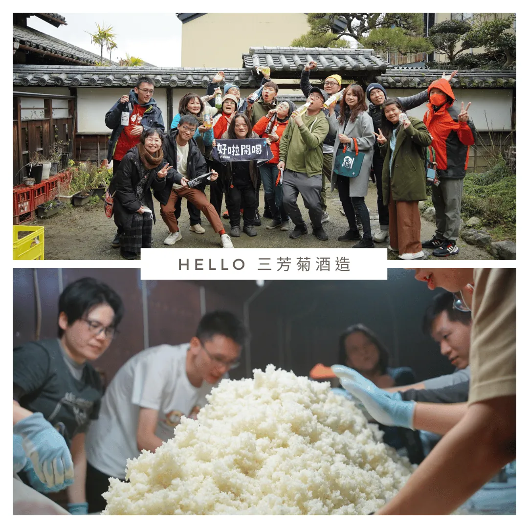 三芳菊酒造 清酒體驗 蒸米、製麴、裝瓶、貼標部分
